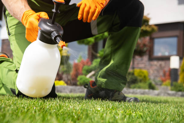 Best Pest Control for Homes  in Riverdale, CA