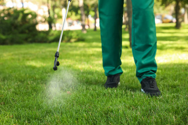 Best Best Pest Control Companies  in Riverdale, CA