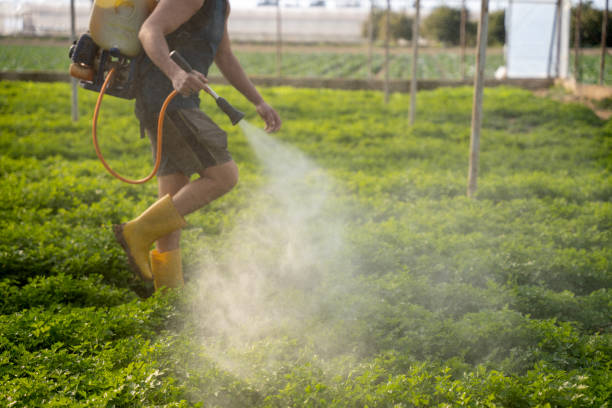 Best Best Pest Control Companies  in Riverdale, CA
