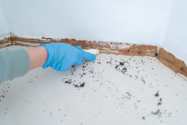 Best Commercial Pest Control Services  in Riverdale, CA