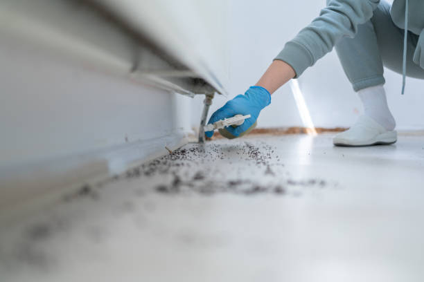 Trusted Riverdale, CA Pest Control Experts