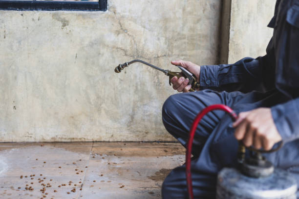 Best Pest Control for Businesses  in Riverdale, CA